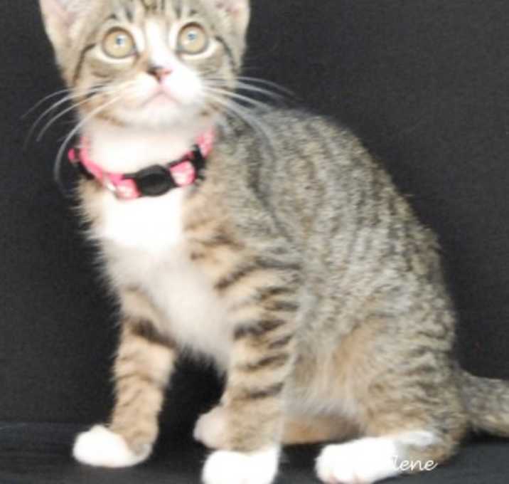 Photo of Spookghetti