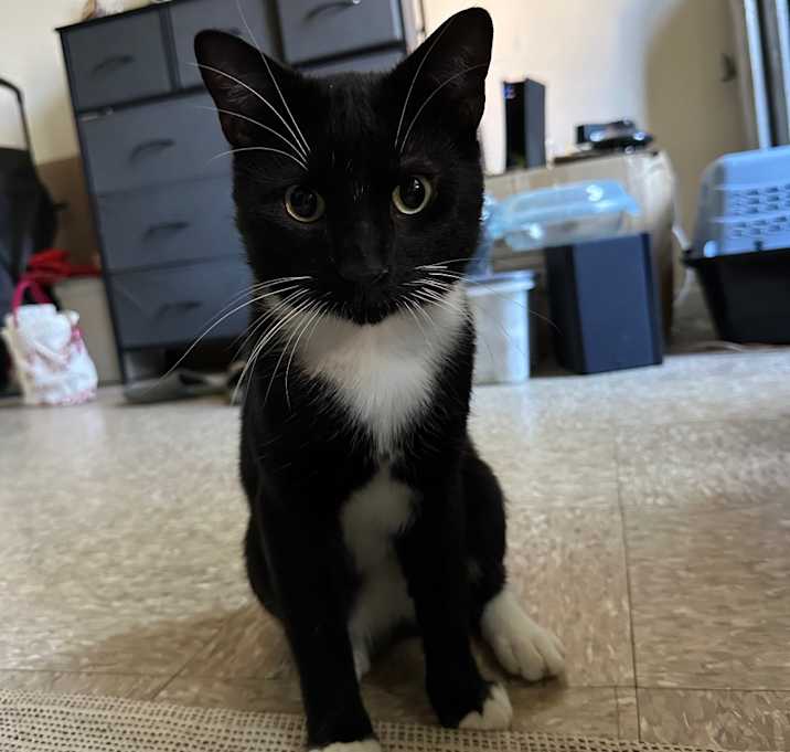 Photo of Purr Malone 