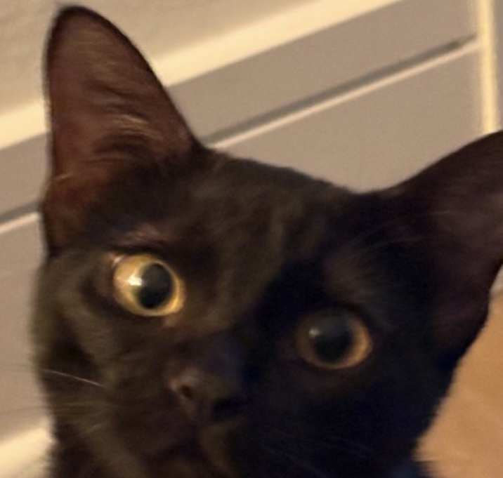Photo of Prue