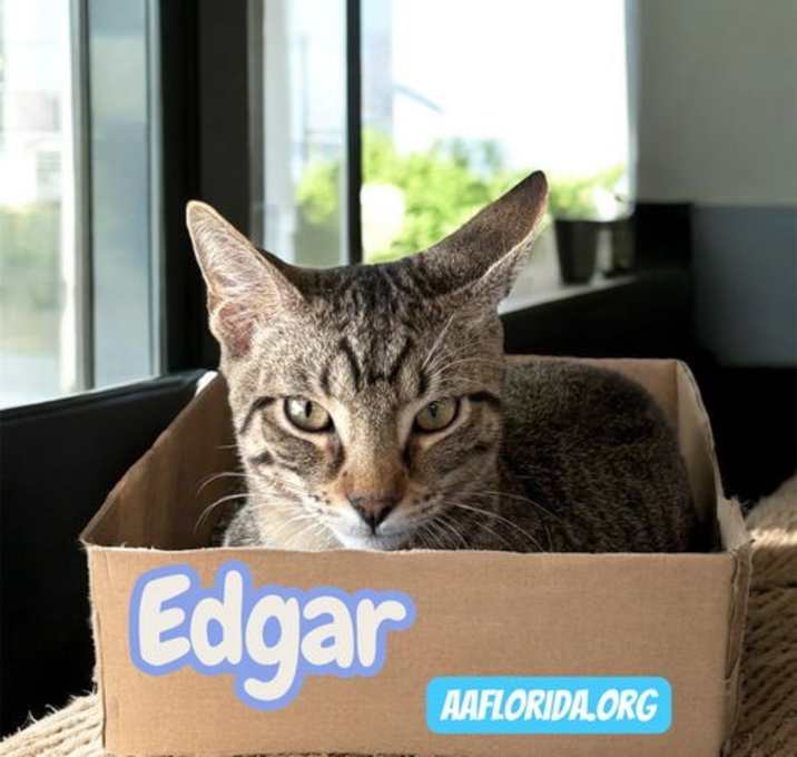 Photo of Edgar
