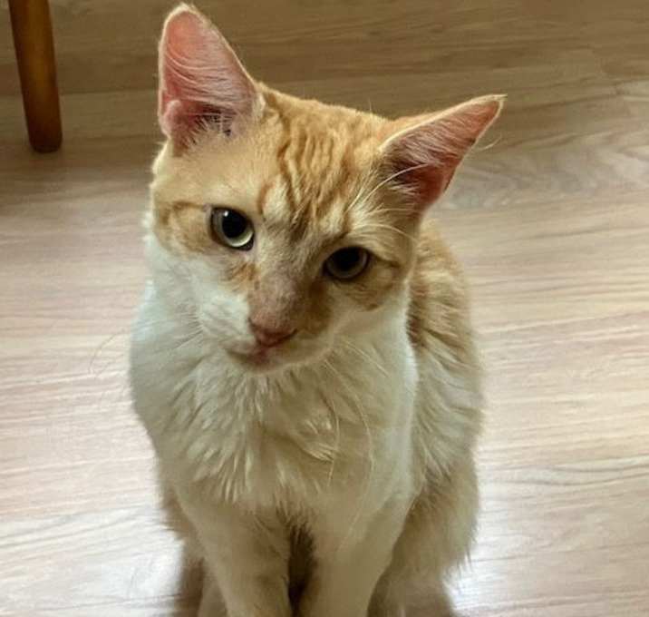 Photo of Luke