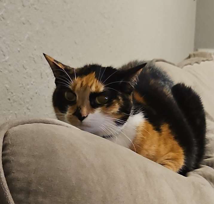 Photo of Sasha