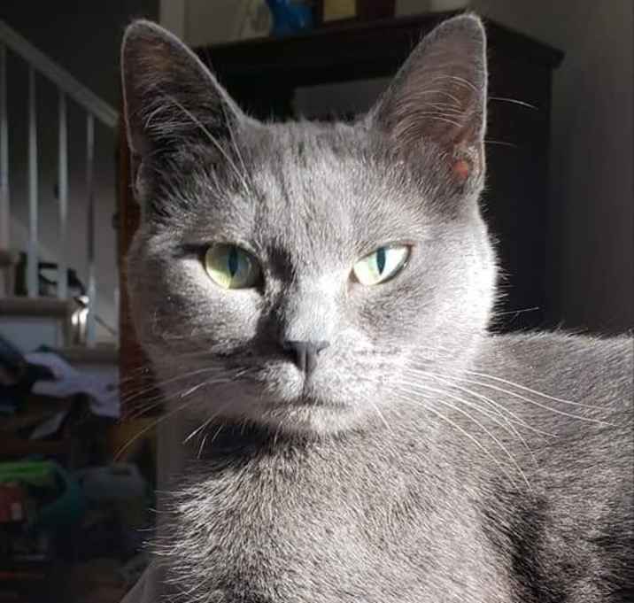 Photo of Cora