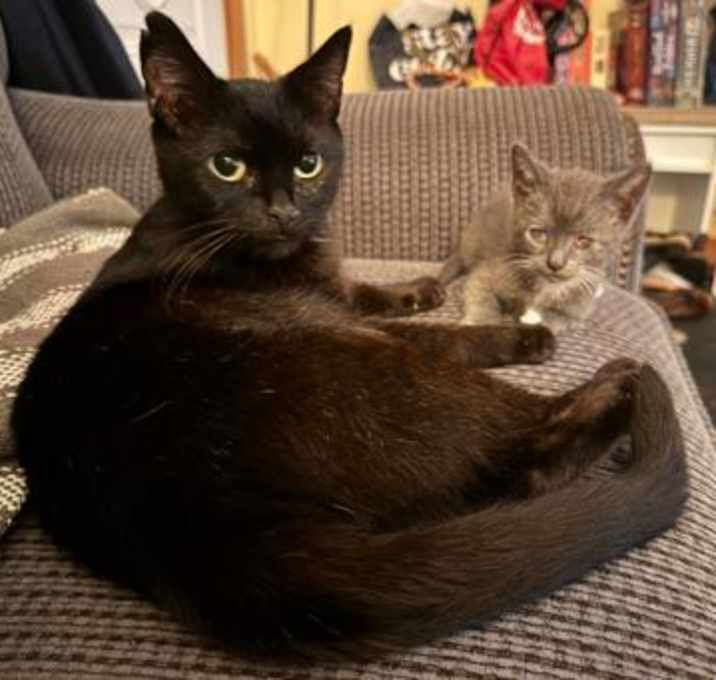 Photo of Benjamina Gunn