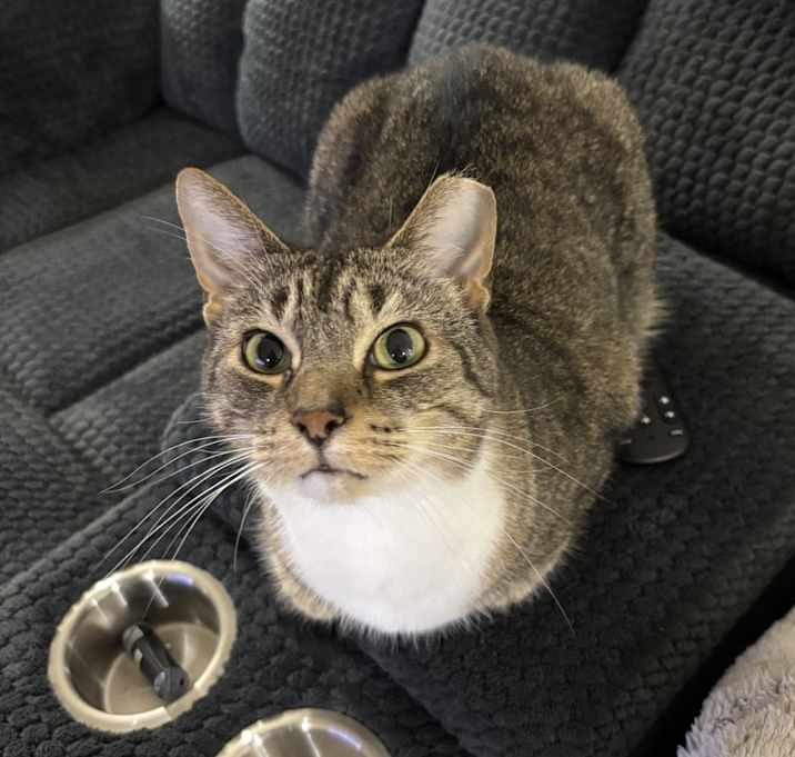 Photo of Rufus