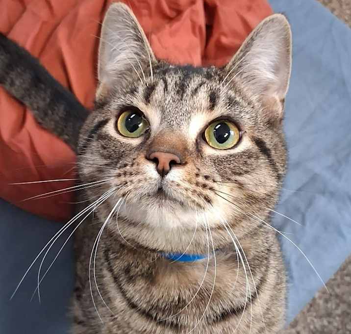 Photo of Mighty Mouse