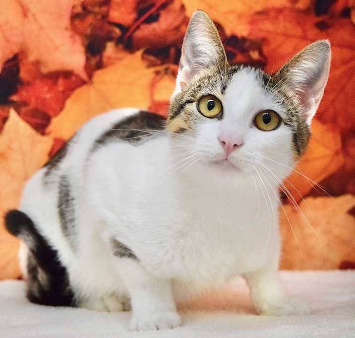Photo of Scorpio