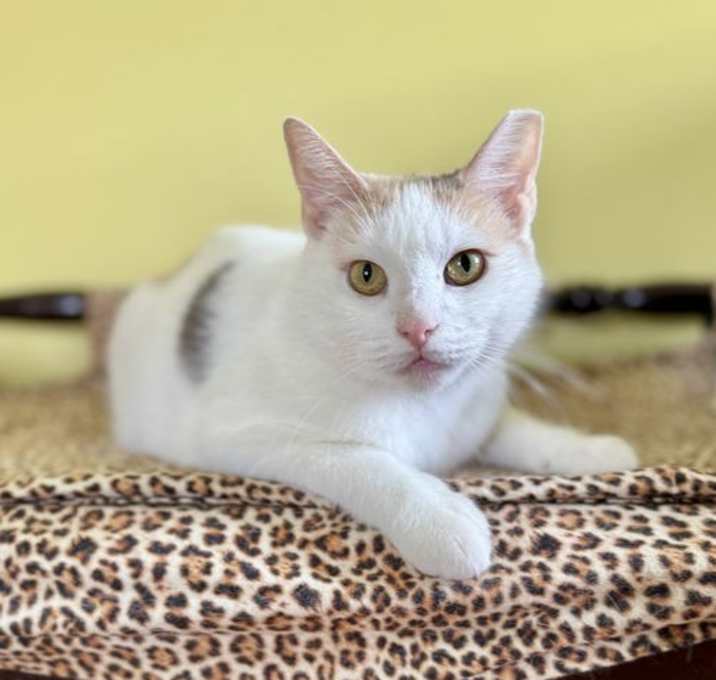 Photo of Tina Purrner