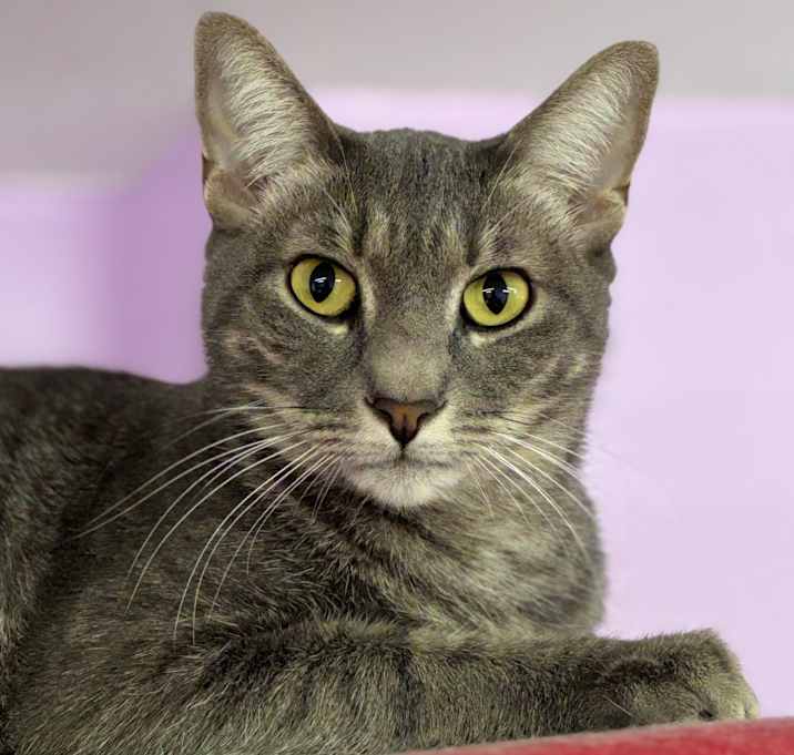 Photo of Charlotte Russe