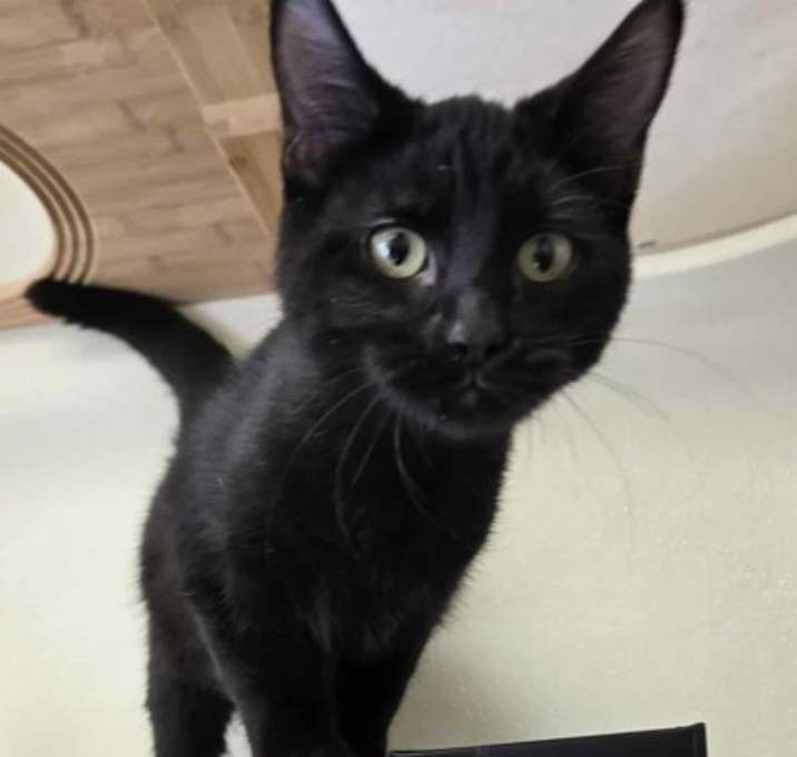 Photo of Raggedy Ann