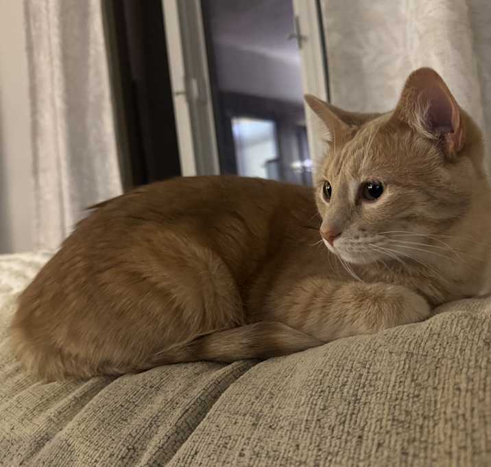 Photo of Tito