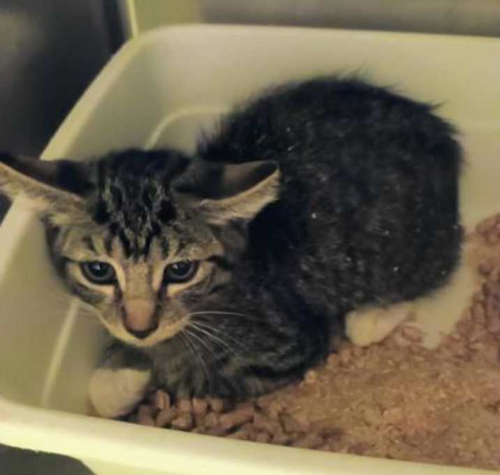 Photo of Natalie TCR35 10/2/25