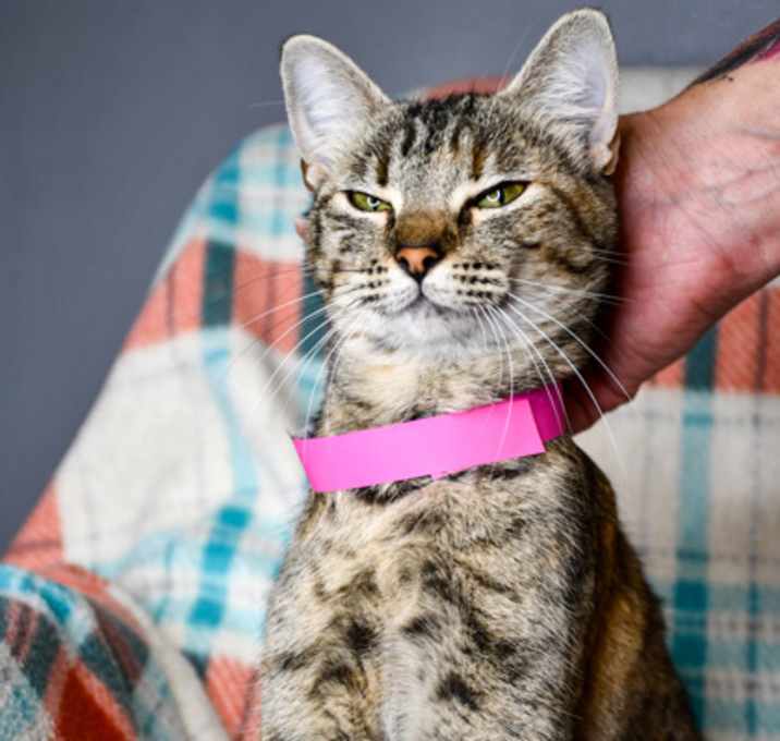 Photo of Winnafred