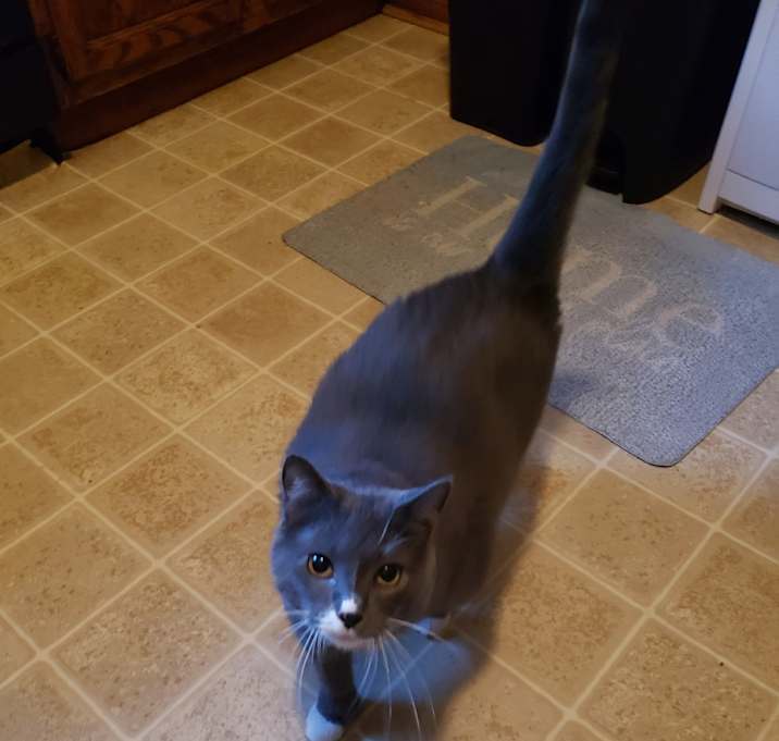 Photo of Gracie