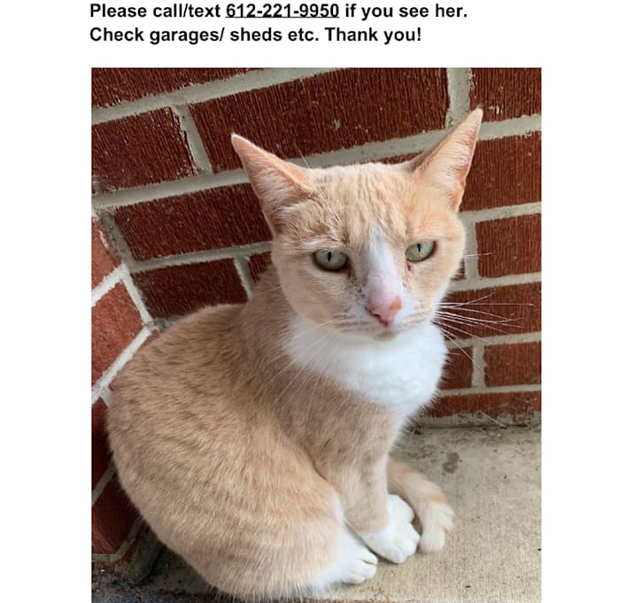 Photo of Kwazee is LOST 19th Ave NE and 10th St NE