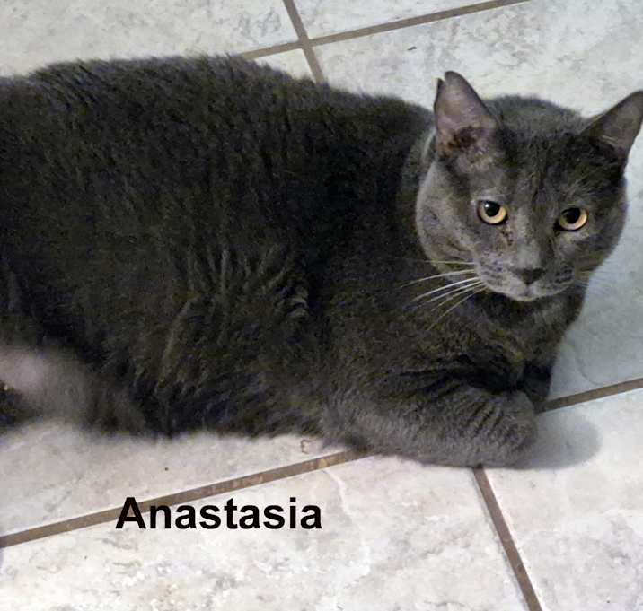 Photo of Anastasia