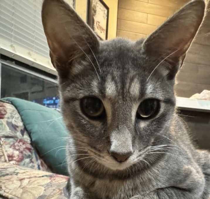 Photo of Martin Furman