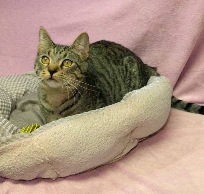 Photo of Appt. Pending - Conway