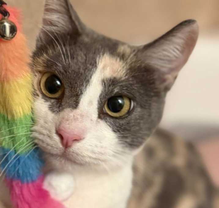 Photo of Lucille Luvbug