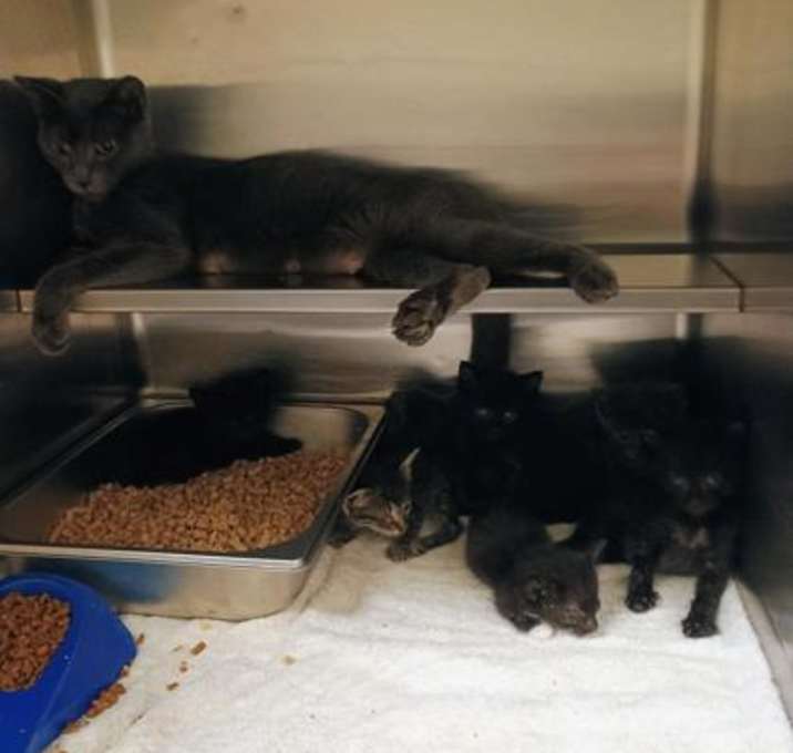 Photo of Harry QC6 10/3/25