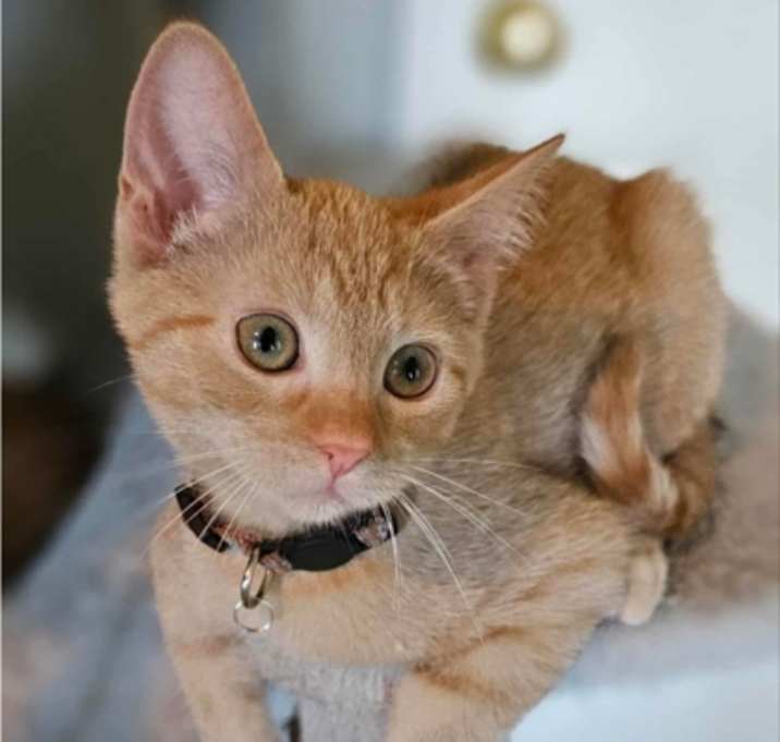 Photo of Princess Merida