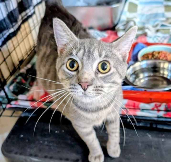 Photo of Billie James