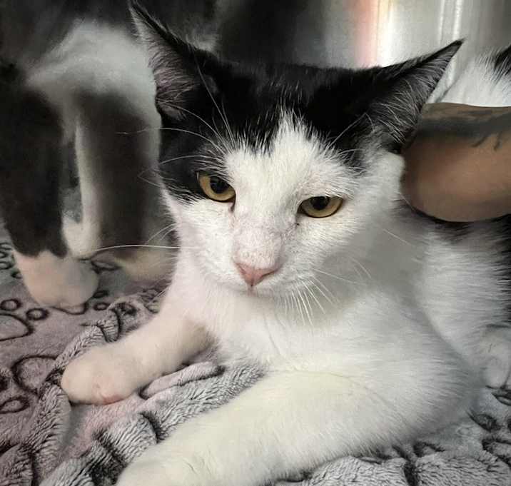 Photo of Flynn Ryder