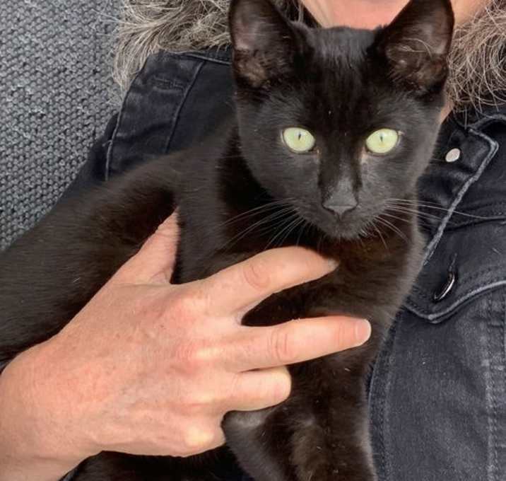 Photo of Panther & Pepper