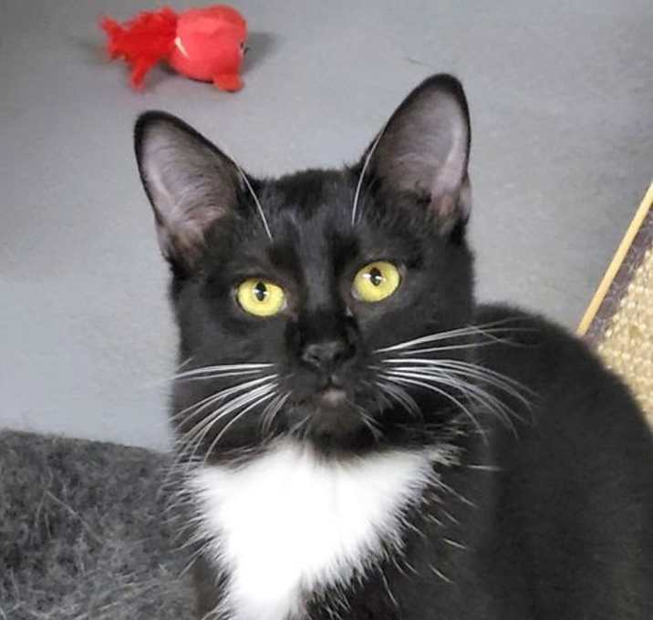 Photo of Peppermint Patti