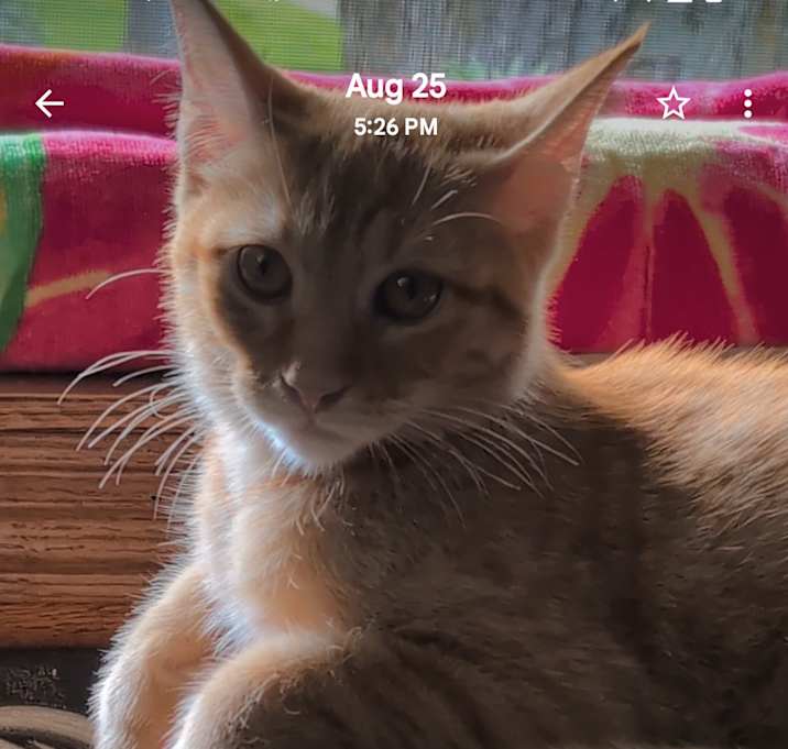 Photo of TJ