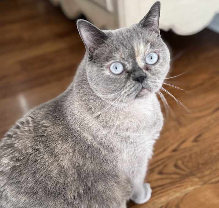 Photo of Mimi