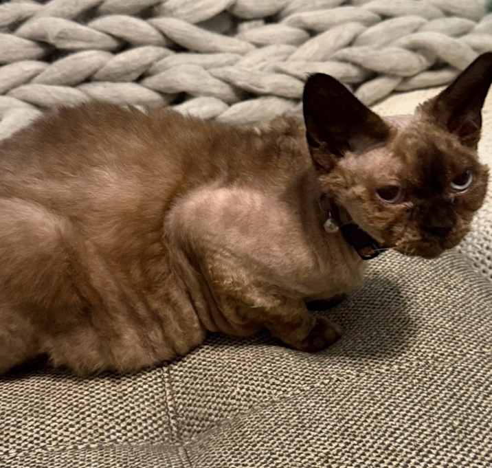 Photo of Ritzi