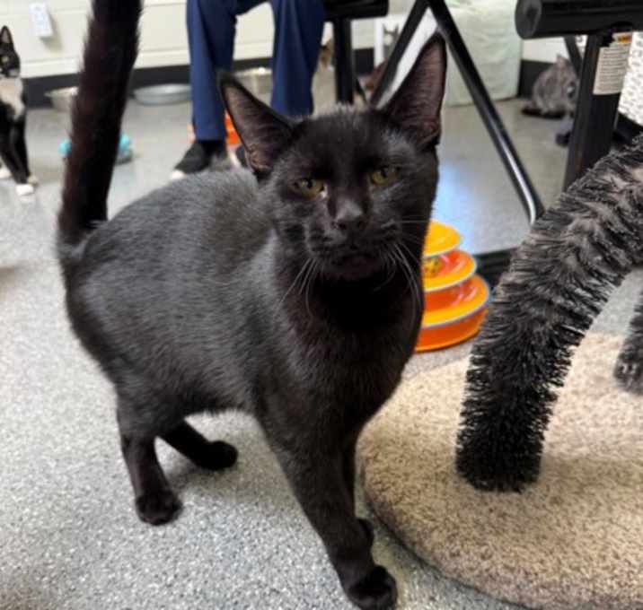 Photo of 656472 Beans