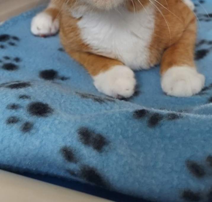 Photo of 7369 Driver