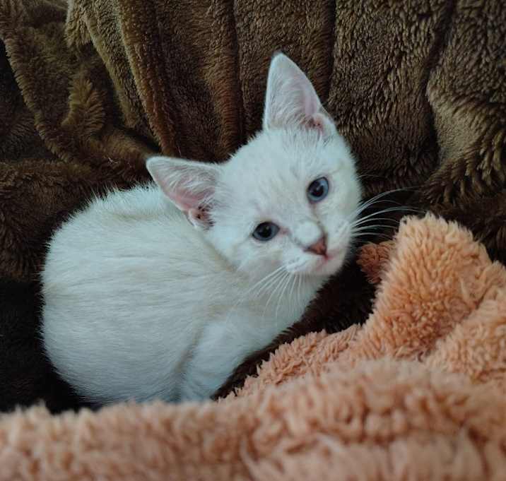 Photo of Shelly