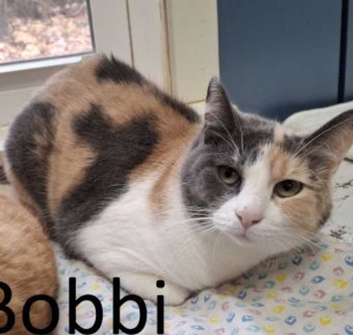 Photo of Bobbi