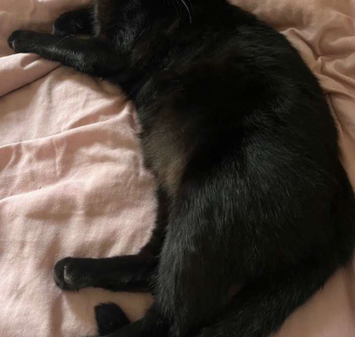 Photo of Looney Bin aka Bin Bin