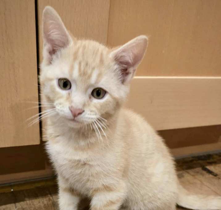 Photo of (dg) Martin (pending)