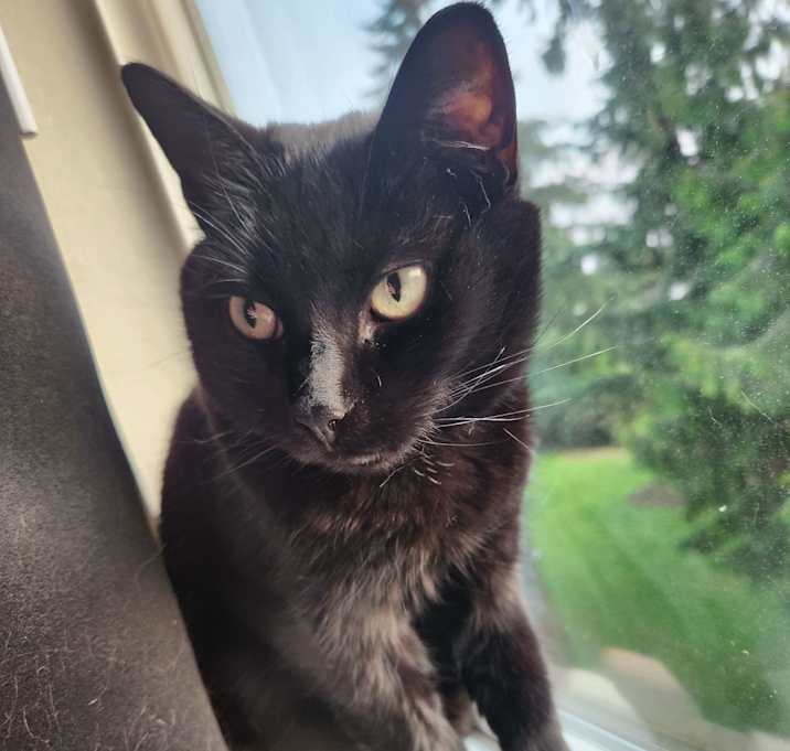 Photo of Angel