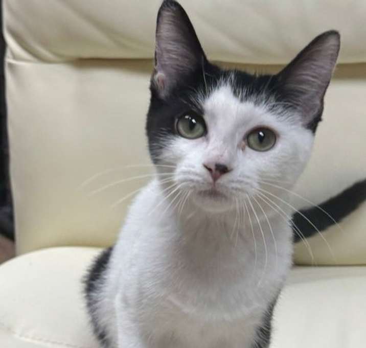 Photo of Ranger 7.14.25