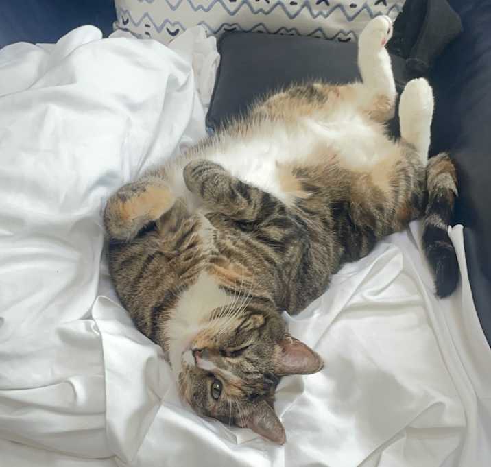 Photo of Sissy