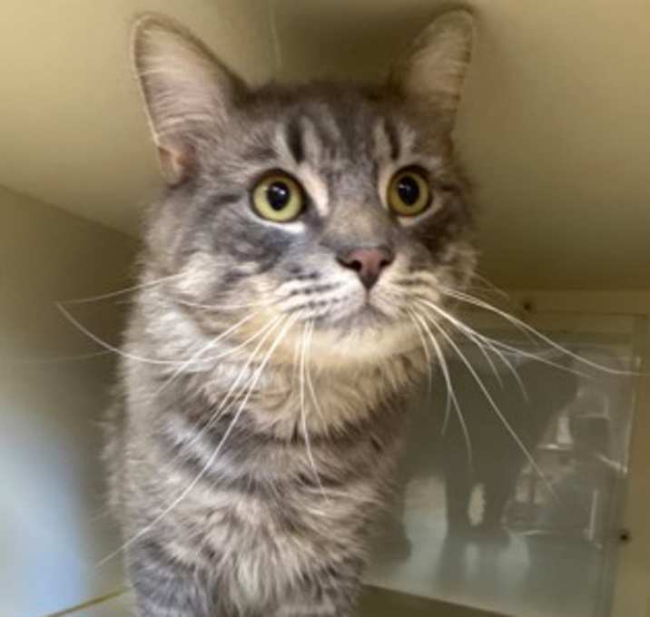 Photo of Kenai