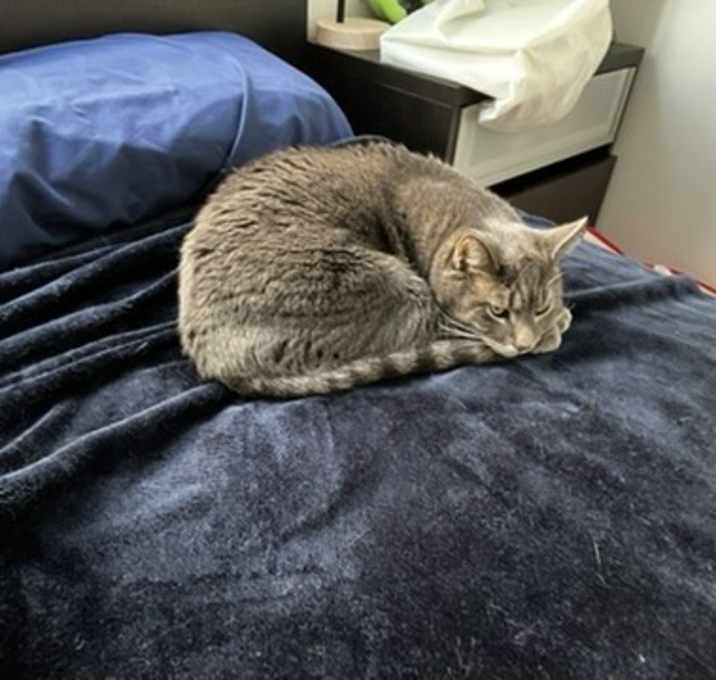 Photo of Iroh