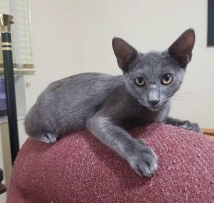 Photo of Princess