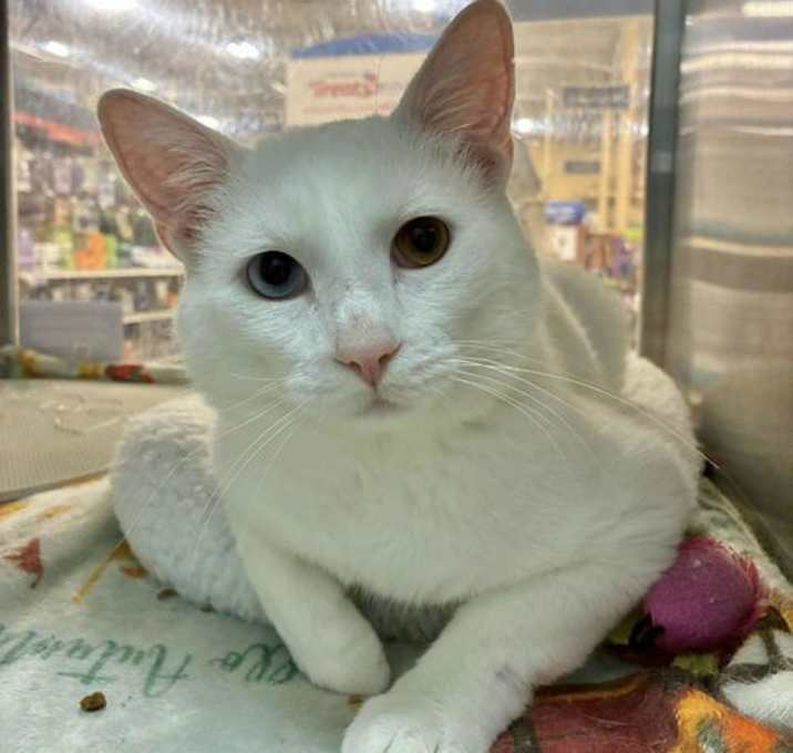 Photo of JAMES CALVIN BOND