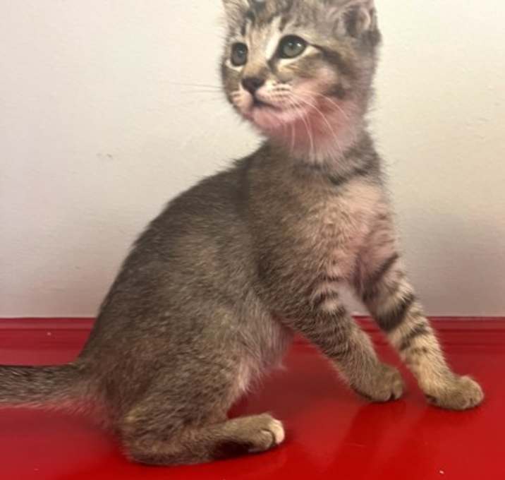 Photo of 656536 Paris