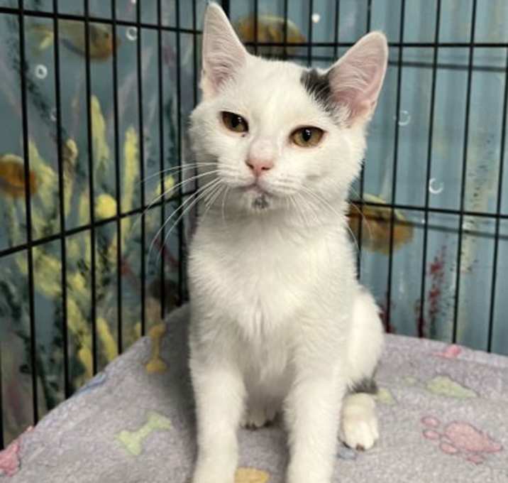 Photo of 6795 (Nibbles)