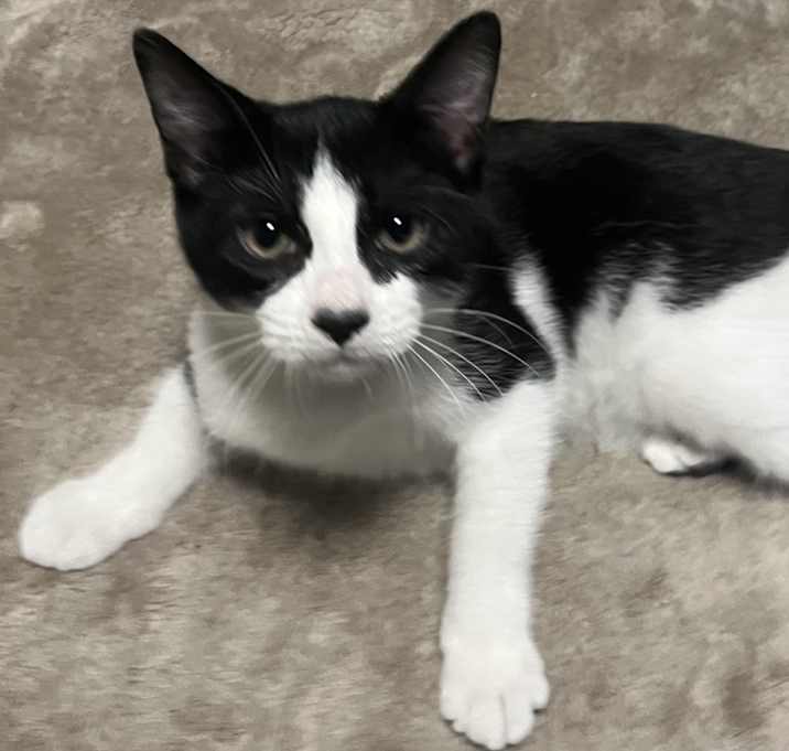 Photo of GUINESS