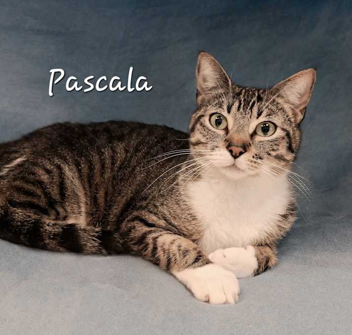 Photo of Pascala #sophisticated-lady