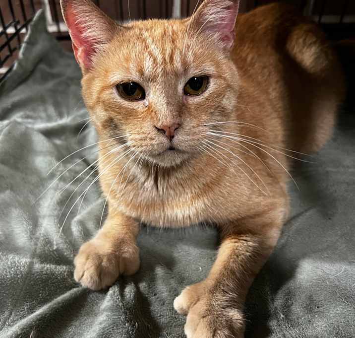 Photo of Mama Goldie